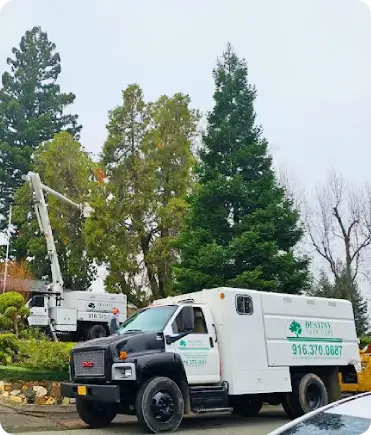 Commercial property with well-maintained trees