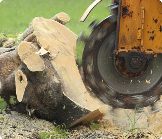Tree stump removed for landscaping project