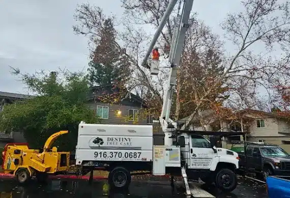 Destiny Tree Care working on commercial landscaping project
