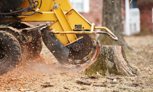 Stump grinder machine in residential backyard